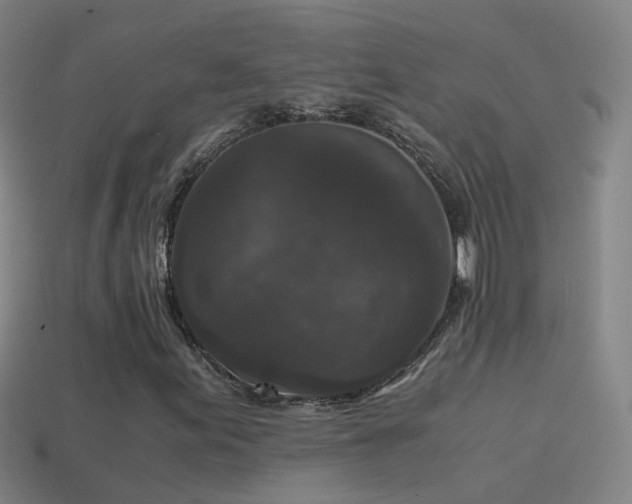 X0000114411155200910161159