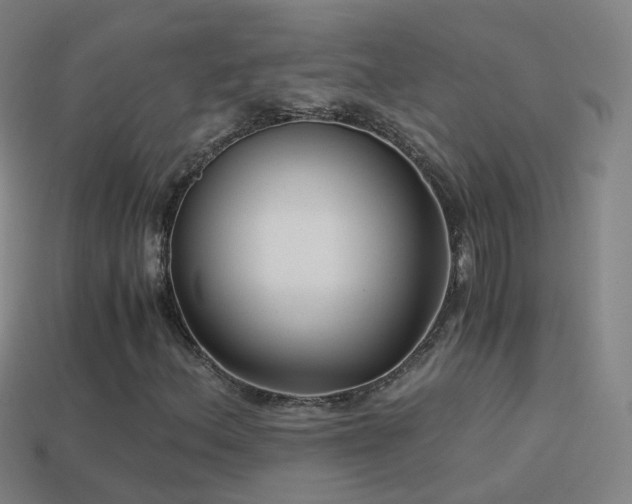 X0000114411156200910161159
