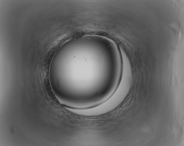X0000114411157200910161159