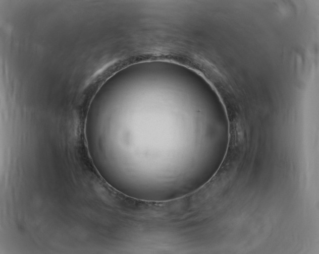 X0000114411158200910161159