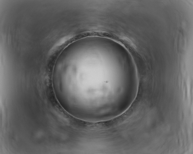 X0000114411159200910161159