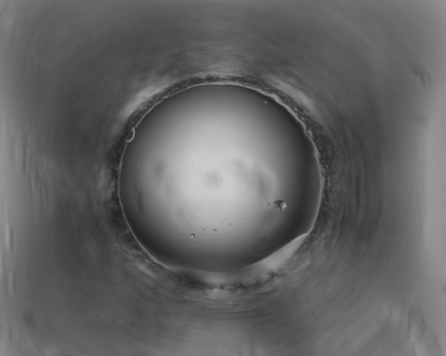X0000114411160200910161159