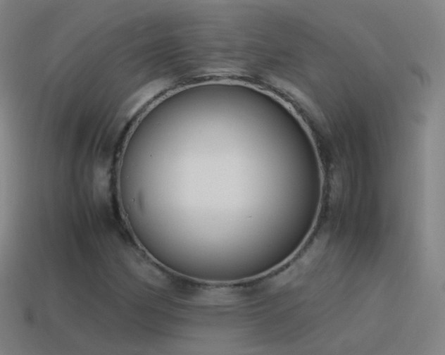 X0000114411162200910161159