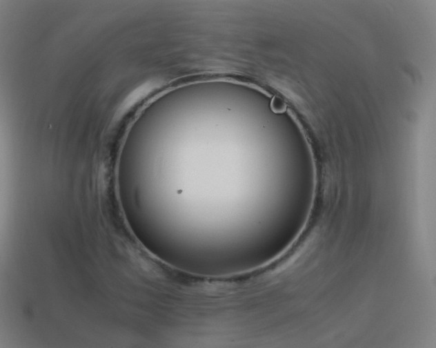 X0000114411163200910161159
