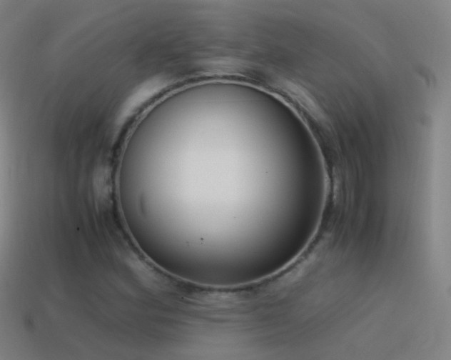 X0000114411164200910161159