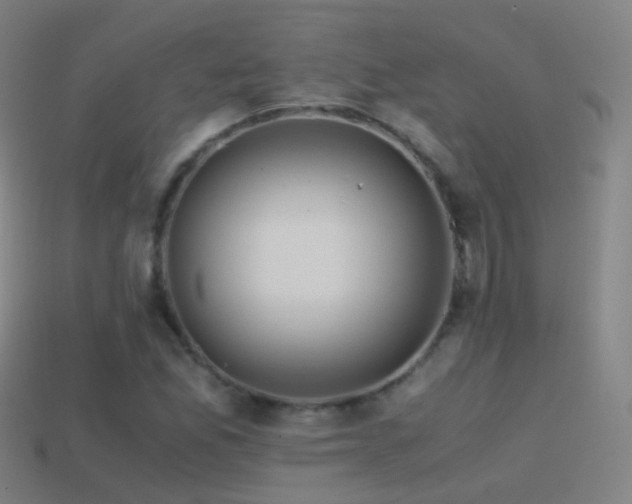 X0000114411165200910161159