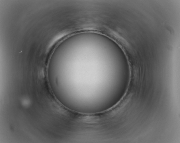 X0000114411166200910161159