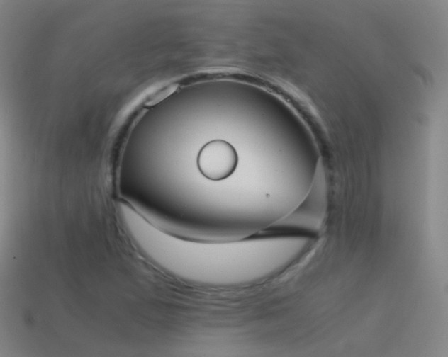 X0000114411167200910161159