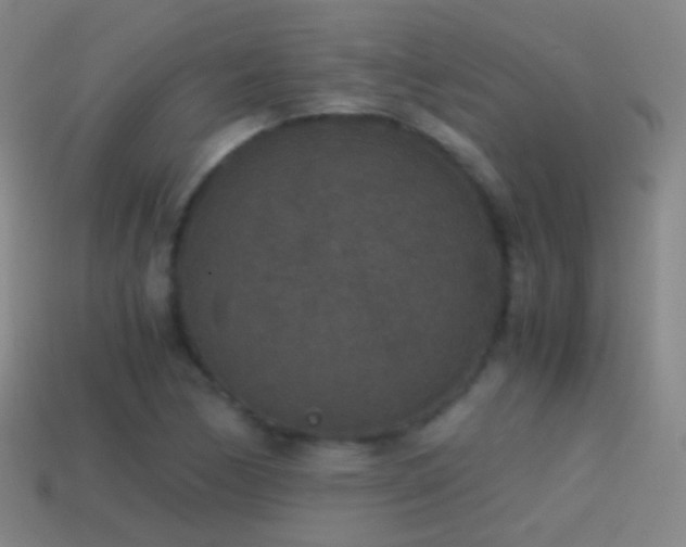 X0000114411170200910161159