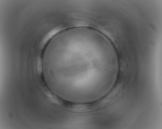 X0000114411171200910161159