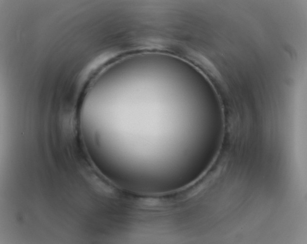X0000114411172200910161159