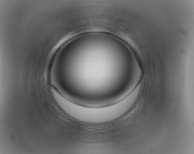 X0000114411173200910161159