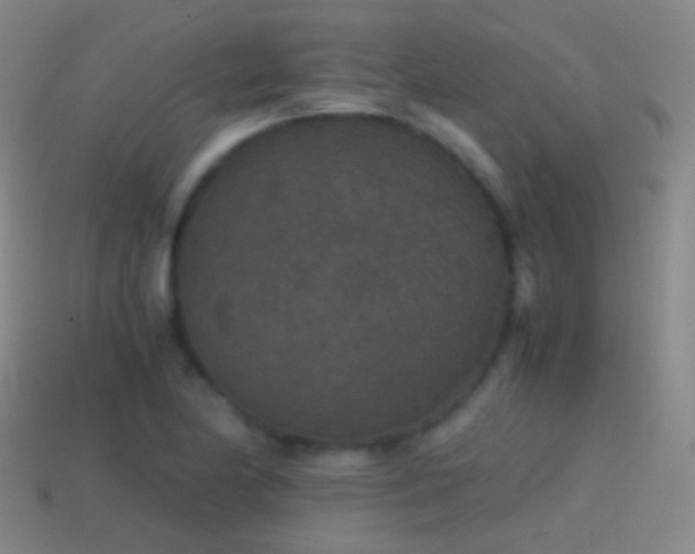 X0000114411174200910161159