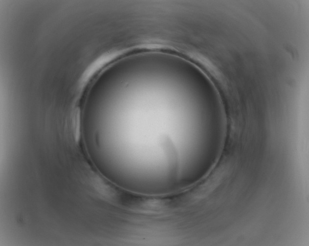 X0000114411175200910161159