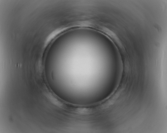 X0000114411176200910161159