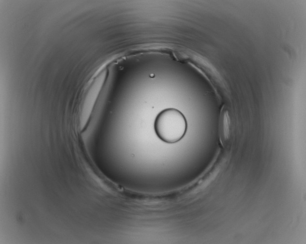 X0000114411177200910161159