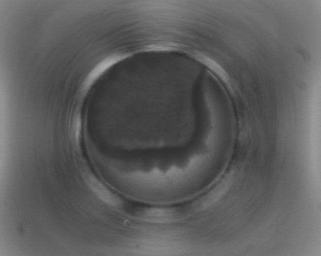 X0000114411179200910161159
