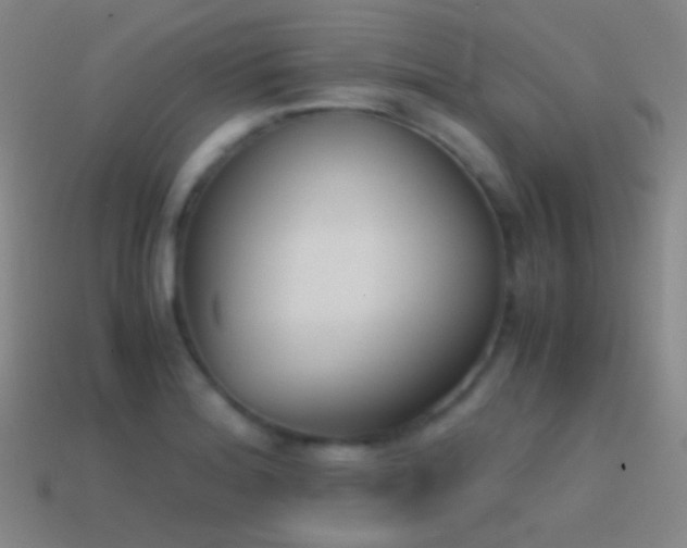 X0000114411180200910161159