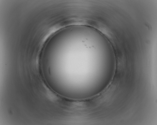 X0000114411181200910161159