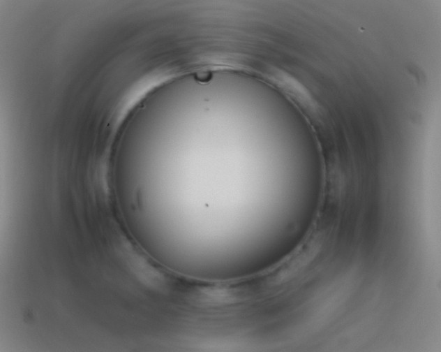 X0000114411182200910161159