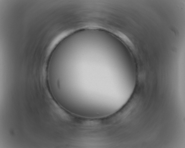 X0000114411183200910161159