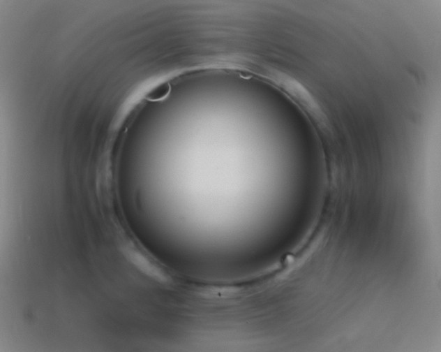 X0000114411184200910161159