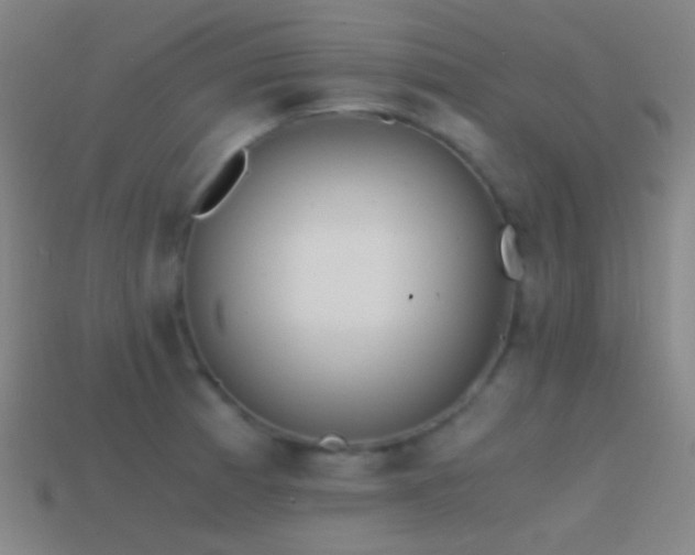 X0000114411185200910161159