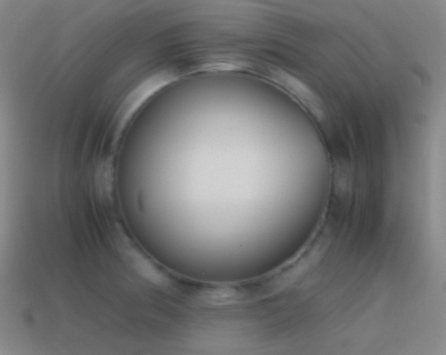 X0000114411186200910161159