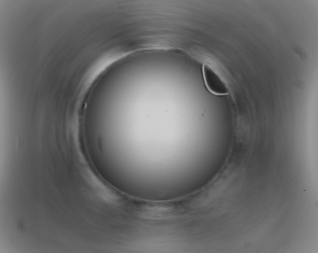 X0000114411187200910161159