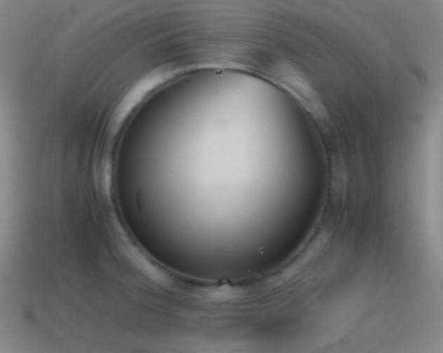 X0000114411188200910161159