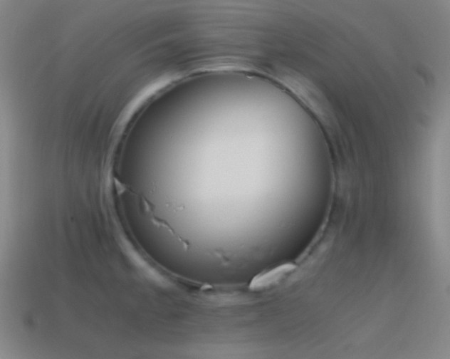 X0000114411189200910161159