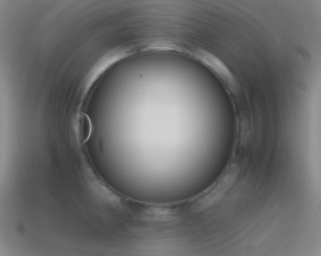 X0000114411190200910161159