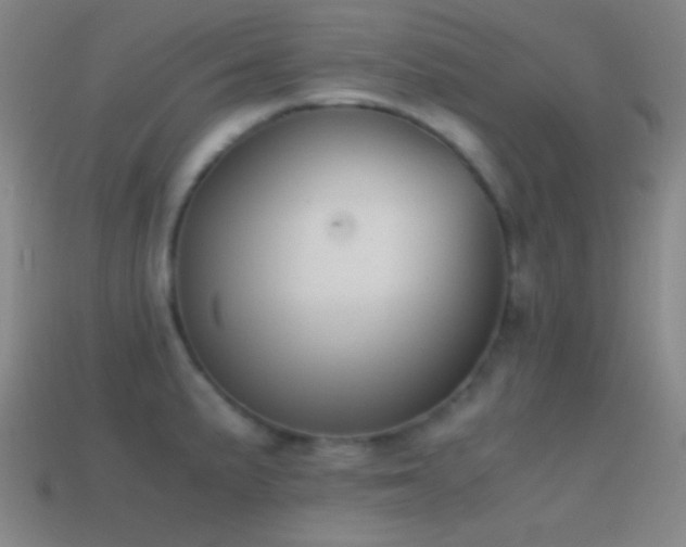 X0000114411191200910161159