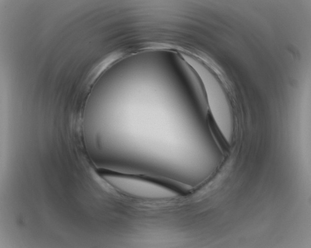 X0000114411193200910161159