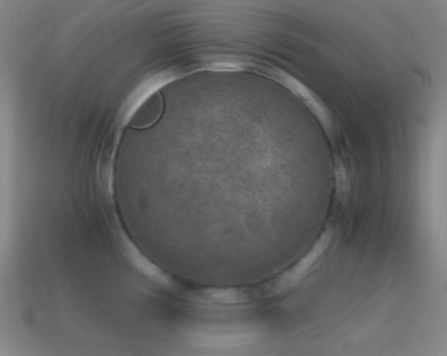 X0000114411194200910161159