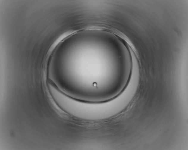 X0000114411195200910161159