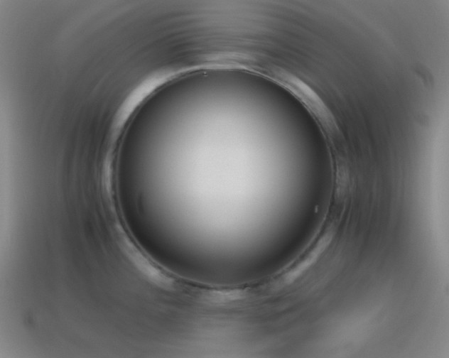 X0000114411196200910161159