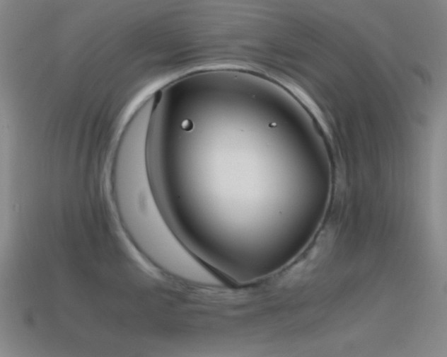 X0000114411197200910161159