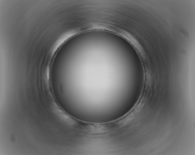 X0000114411198200910161159