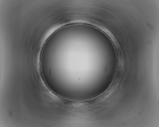 X0000114411199200910161159
