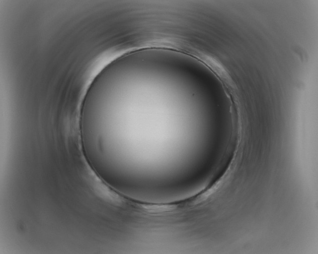 X0000114411200200910161159