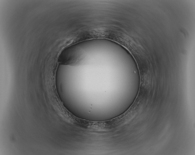X0000114411201200910161158