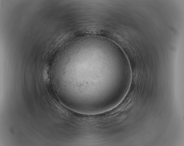 X0000114411202200910161158
