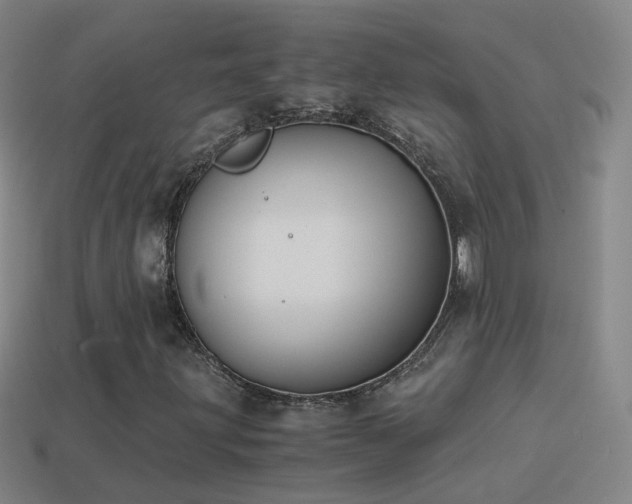 X0000114411203200910161158