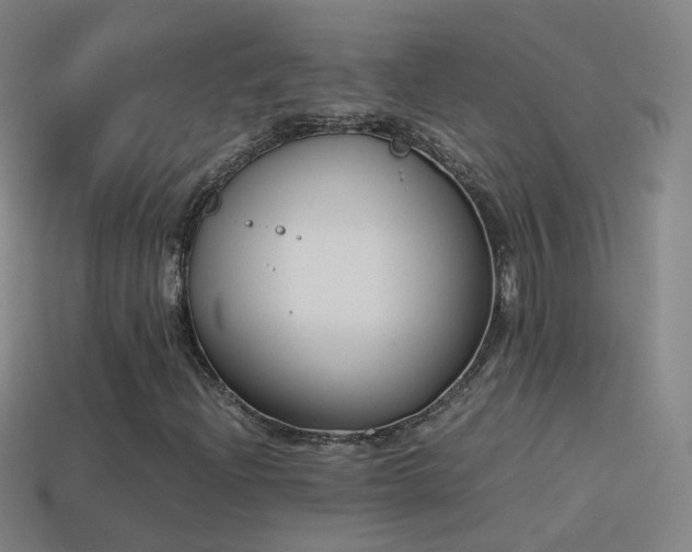 X0000114411204200910161158