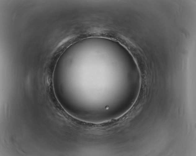 X0000114411206200910161158