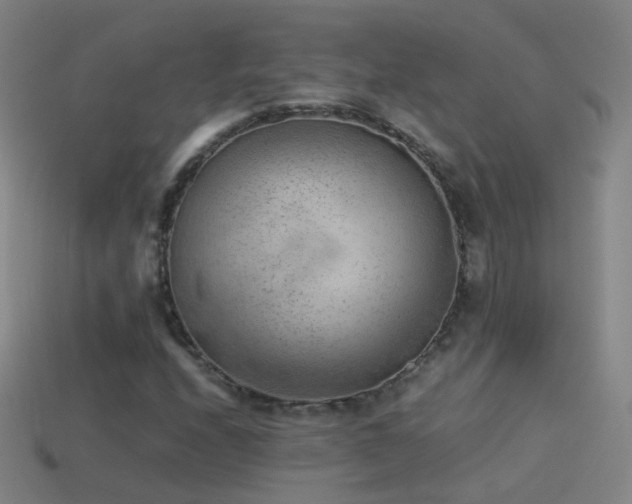 X0000114411208200910161158