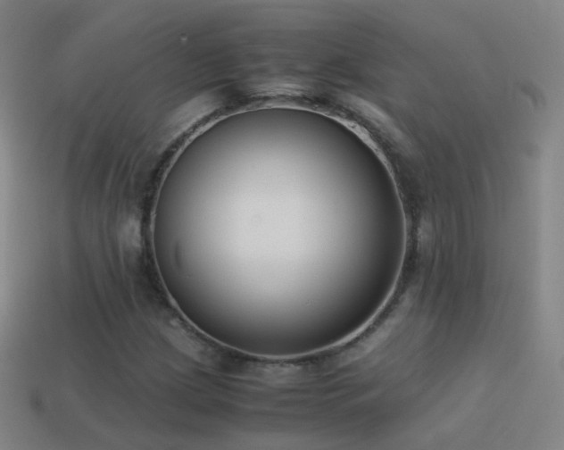 X0000114411209200910161158