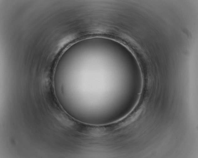 X0000114411210200910161158