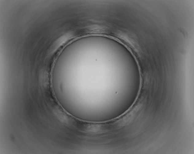 X0000114411211200910161158